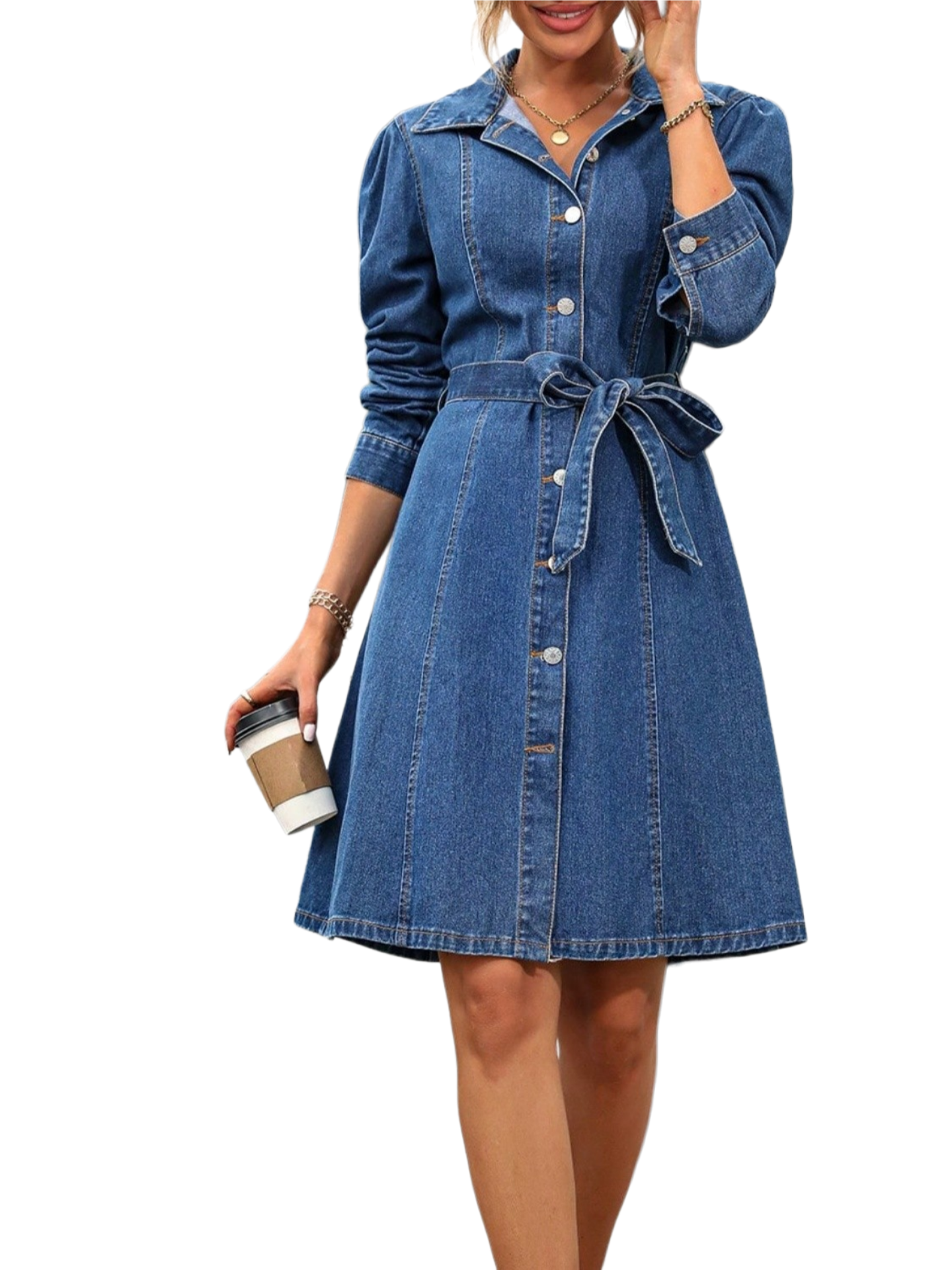 Button Down Long Sleeve Denim Dress