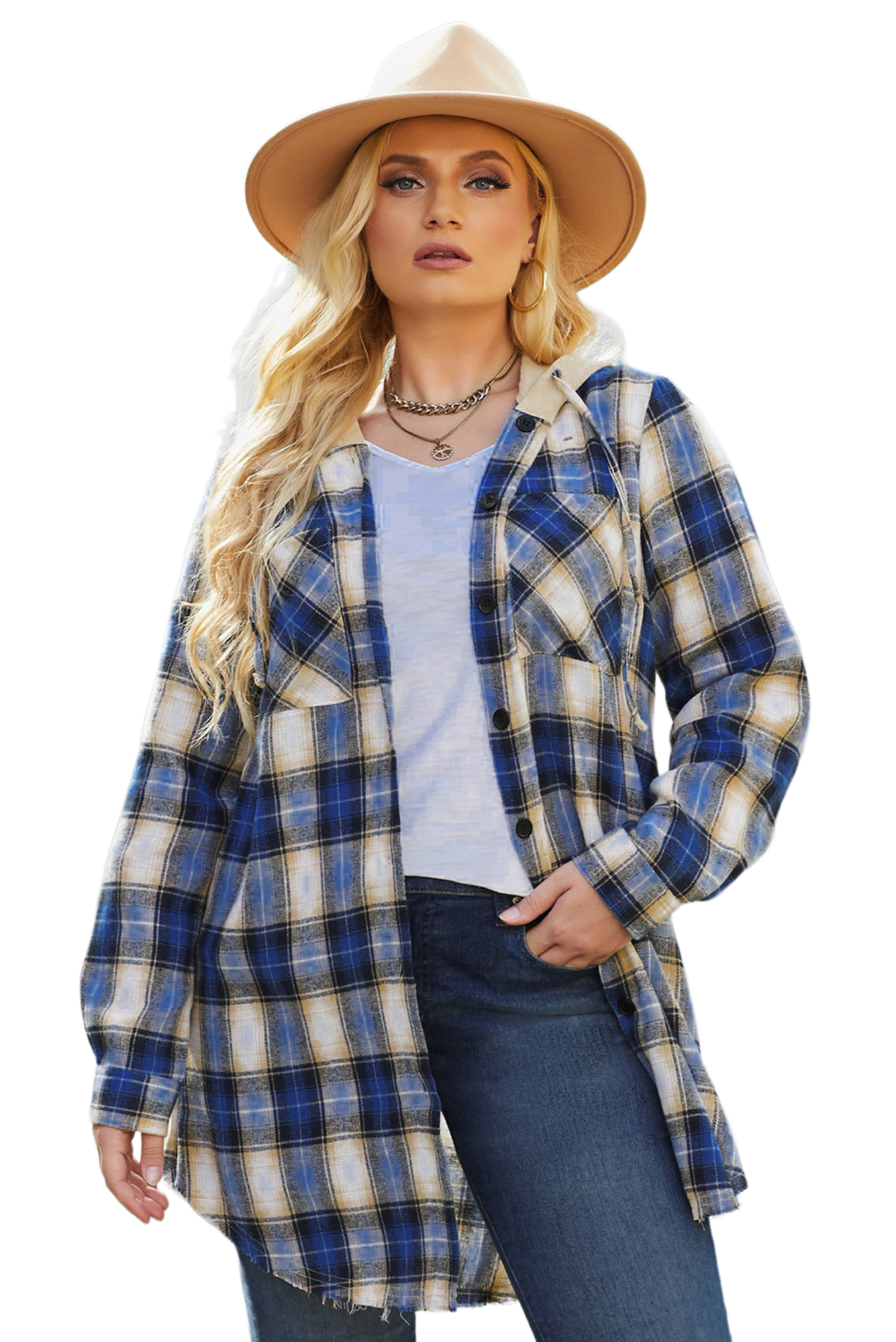 Plus Size Plaid Curved Hem Button Front Shirt