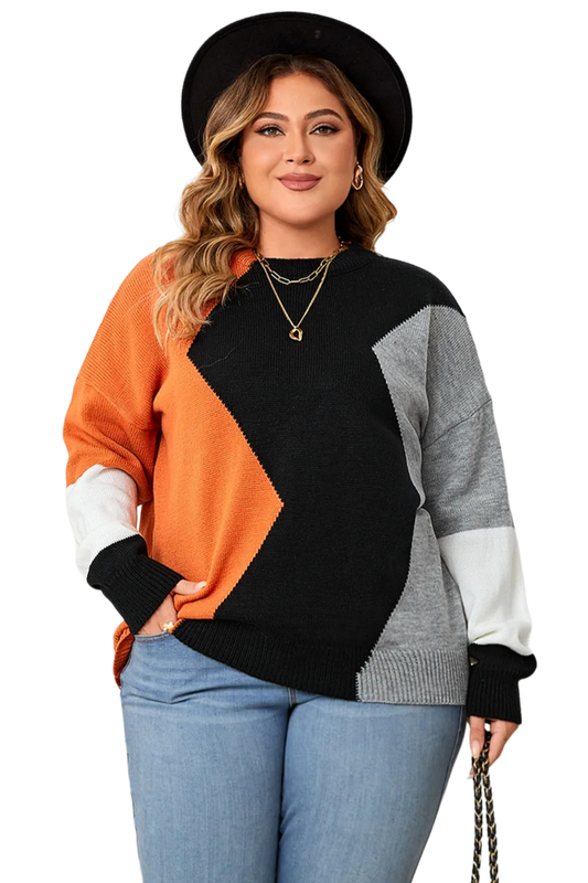 Plus Size Color Block Round Neck Knit Top